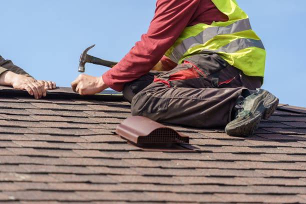 Best Roof Leak Repair  in Frankfort, MI