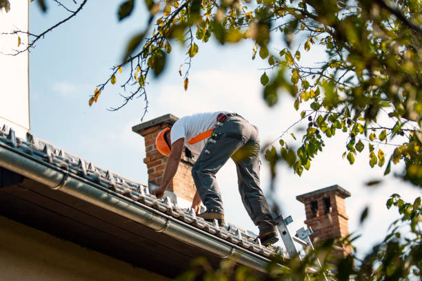 Best Emergency Roof Repair  in Frankfort, MI