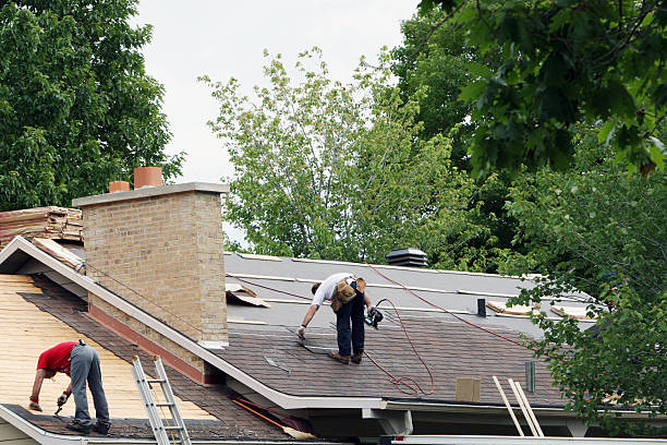 Best Best Roofing Contractors  in Frankfort, MI