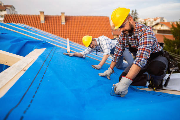 Best Emergency Roof Repair  in Frankfort, MI