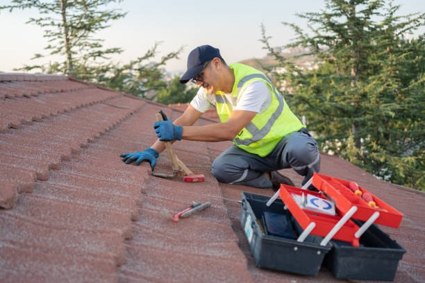 Best New Roof Installation  in Frankfort, MI