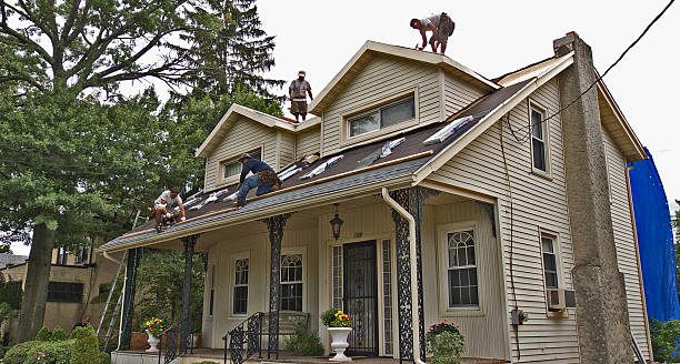 Best Roof Gutter Cleaning  in Frankfort, MI