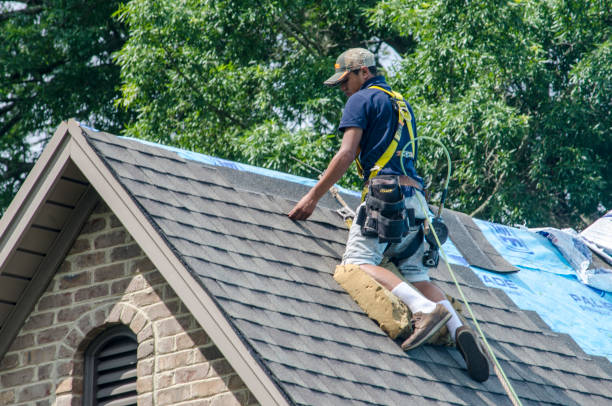 Roof Repair Estimates in Frankfort, MI