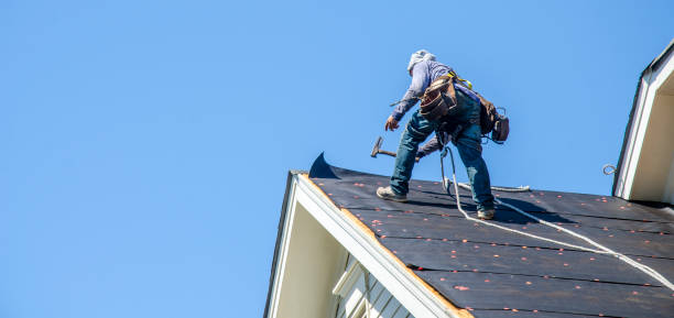 Best Sealant for Roof  in Frankfort, MI