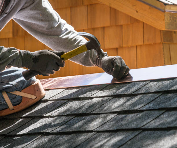 Best Roof Maintenance Services  in Frankfort, MI